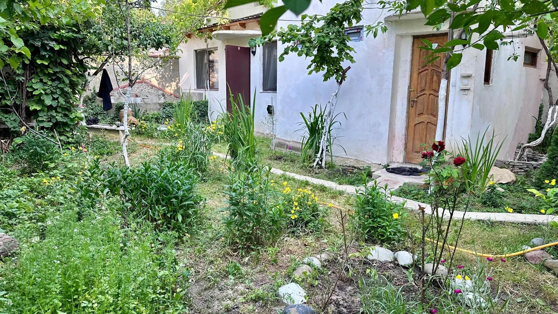 Badri'S Winery And House Lägenhet Tbilisi